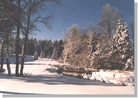 Winter in Schnwald